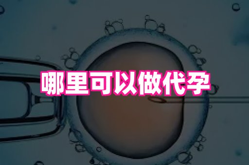 杭州助孕网 1