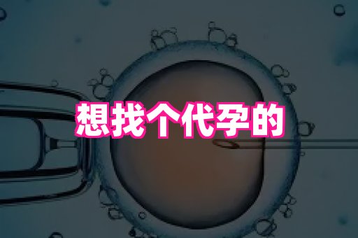 杭州助孕网 1