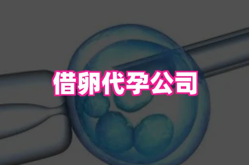 杭州助孕网 3