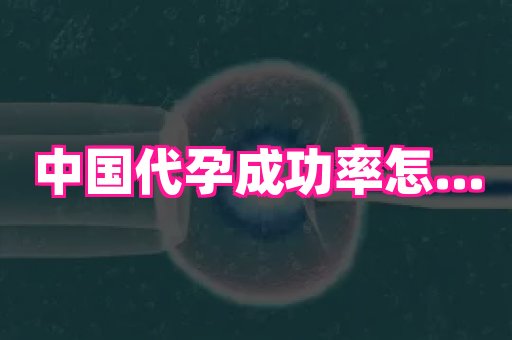 杭州助孕网 4