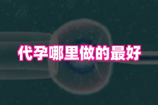 杭州助孕网 4